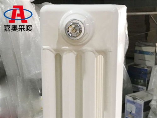 钢制柱式散热器规格型号 GZ419 安康 性能特点与应用解析